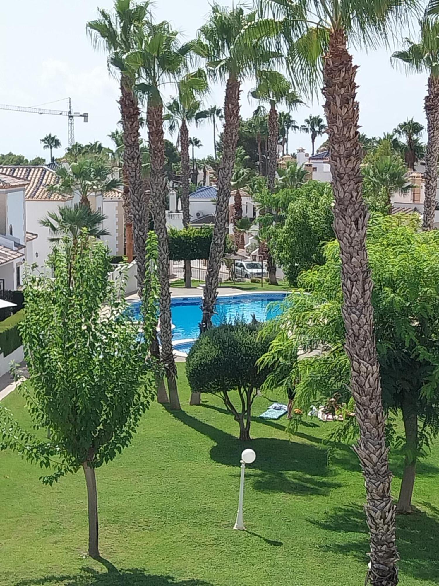 Charming Apartment In Front Of Villamartin Golf And Plaza Экстерьер фото